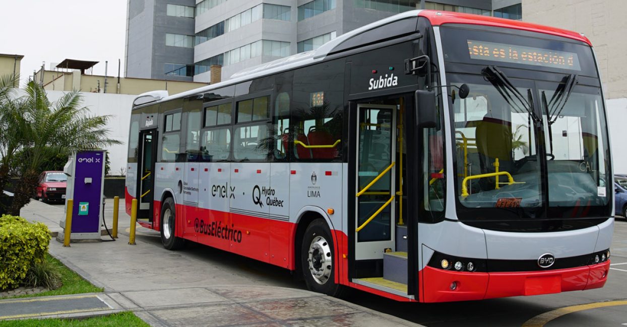 Buses eléctricos